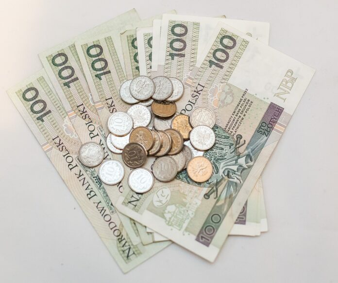 bani europeni pentru afaceri la tara