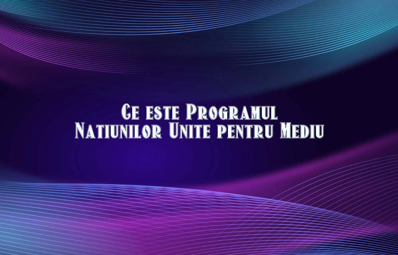 programul natiunilor unite pentru mediu