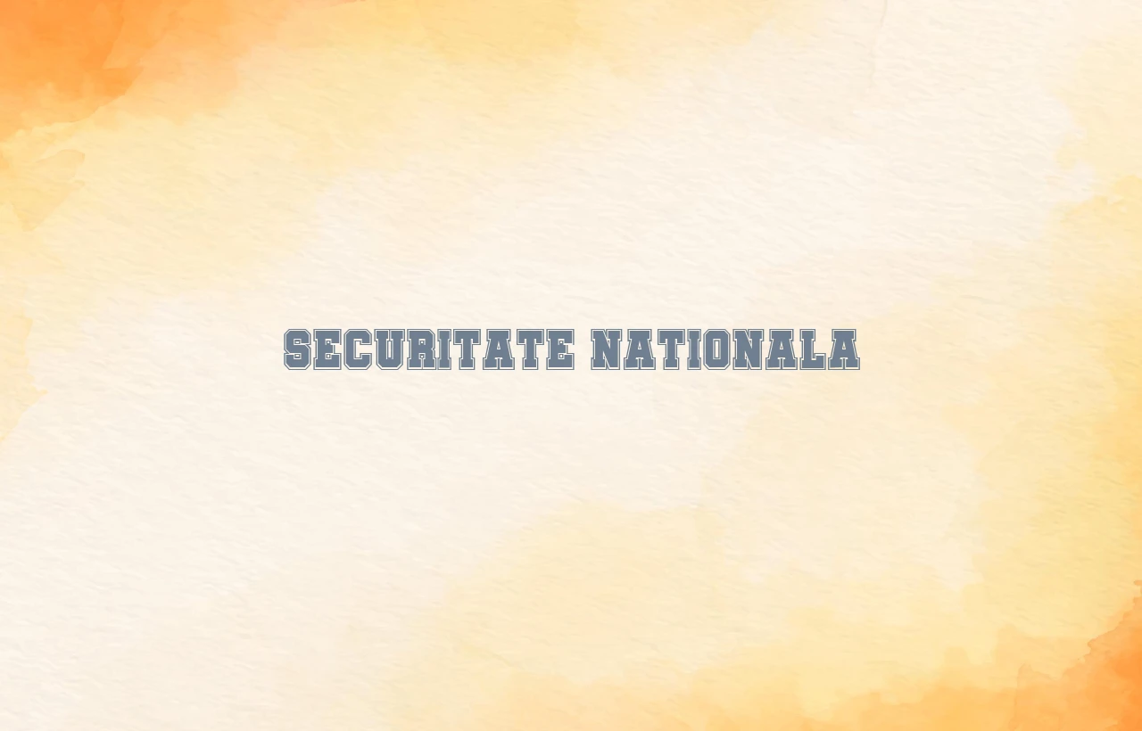 securitate nationala