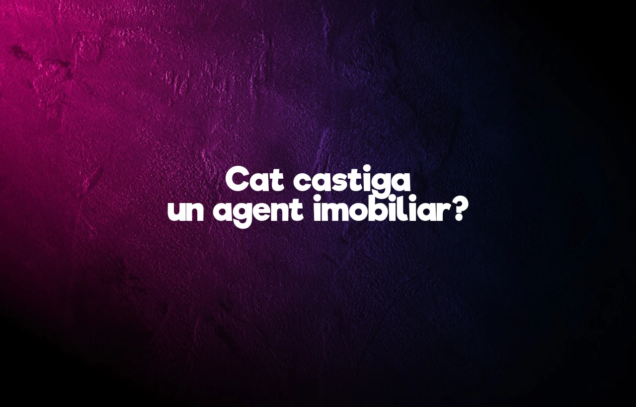 cat castiga un agent imobiliar