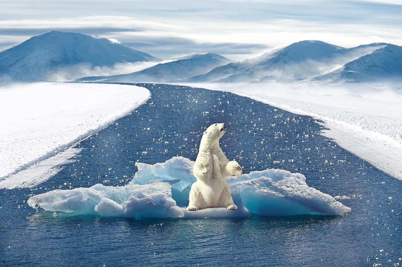 clima subpolara