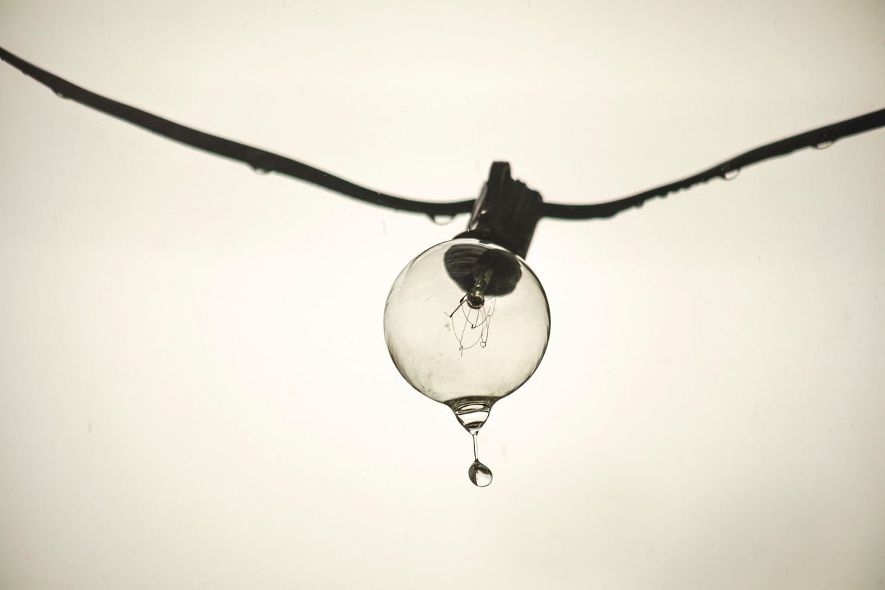 afaceri profitabile pentru incepatori